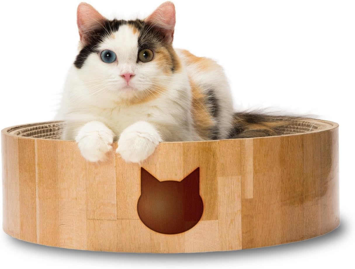 Best corrugated cat scratcher furniture