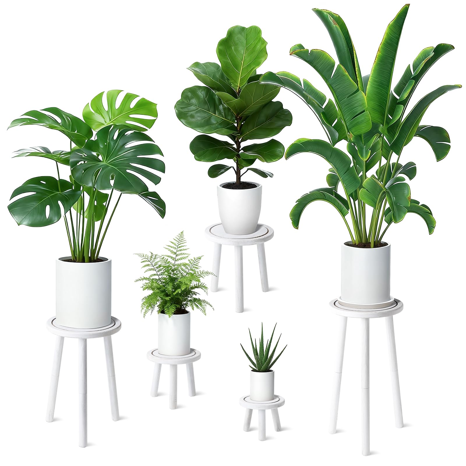 Photo 1 of 5-Pack Wood Plant Stands Indoor, Single Plant Stand for 6-22 Inch Pots, Mid-Century Modern Plant Stool, Tall Plant Stand for Large Plants Perfect Fit for Living Room, Balcony, Office(Retro White)