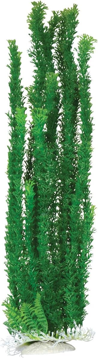 Underwater Treasures 20772 Cabomba, 24"