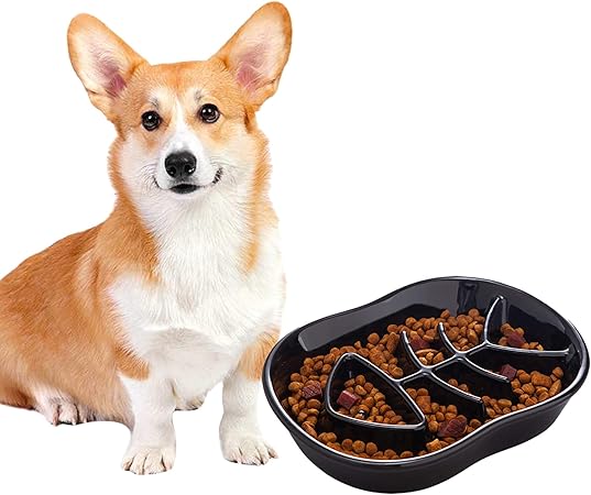 amazon dog slow feeder
