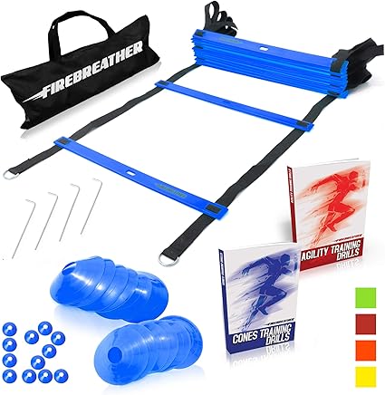 amazon workout ladder