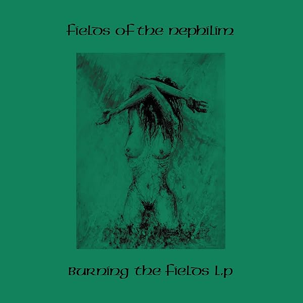 Fields Of The Nephilim　Morning Sun FIELDS OF THE NEPHILIM - Mourning Sun - Amazon.com Music
