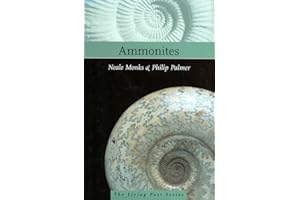 Ammonites