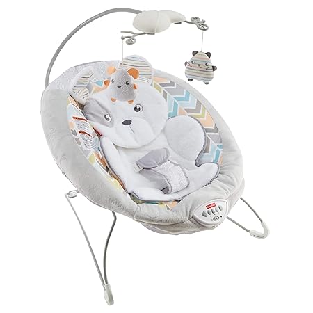 fisher price sweet snugapuppy bouncer