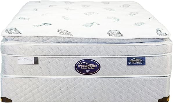 Amazon Com Spring Air King Back Supporter Platinum Sapphire
