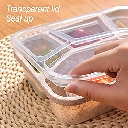 AROCFTIE Bento Lunch Box, 4-Compartment Meal Prep