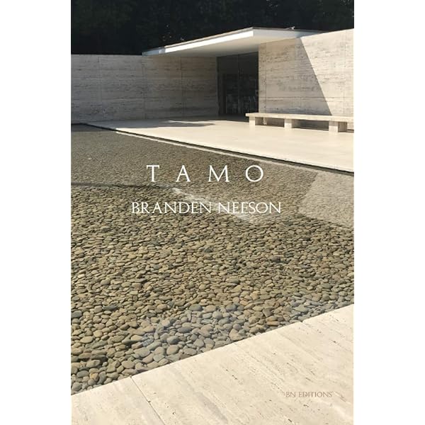 David Adjaye: A House for an Art Collector: Adjaye, David