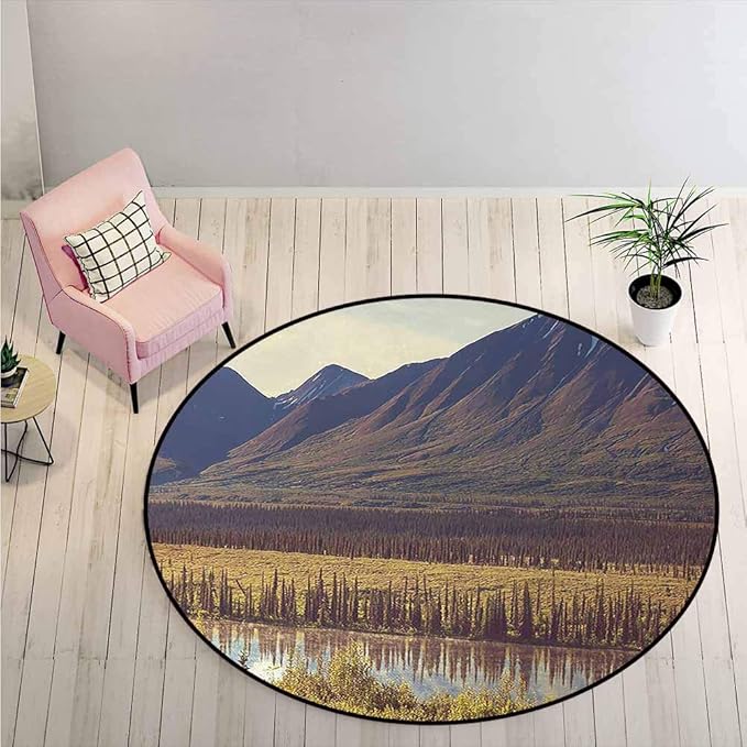 LiHomecurtain Area Rugs Mountain and River in Alaska