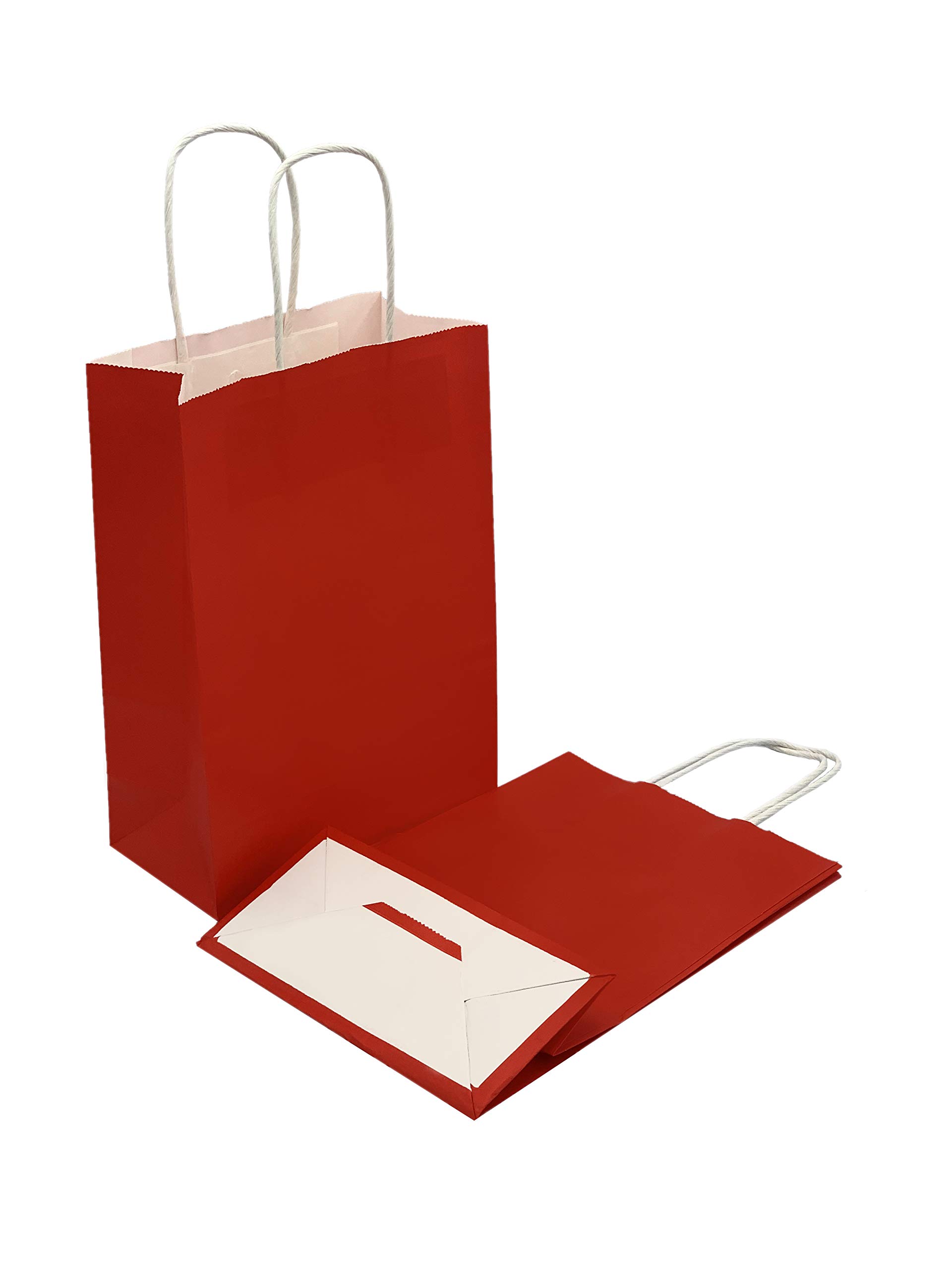 Pack of 4 Pieces Mix of 2 Different Sizes Vertical and Horizontal Gift Bags (Red)