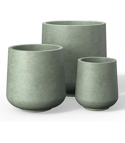 Amazon.com: Kante Set of 3 Mint Green Concrete Bowl Planters 19.9