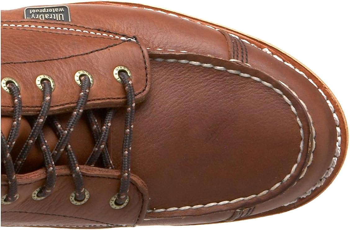 irish setter wingshooter 808