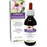 Naturalma Echinacea (Echinacea angustifolia and purpurea) Root and herb Alcohol-Free Tincture - 4 fl oz Liquid Extract in Drops - Herbal Supplement - Vegan