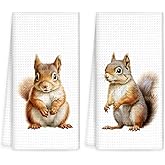 OINDADE Funny Squirrel Hand Towels Set of 2, Squirrel Gifts Kitchen Towels, Farmhouse Cabin Squirrels Fall Decorative Dish Tea Towel for Kitchen, Gifts for Squirrels Lovers Bathroom Decor, 16x24In