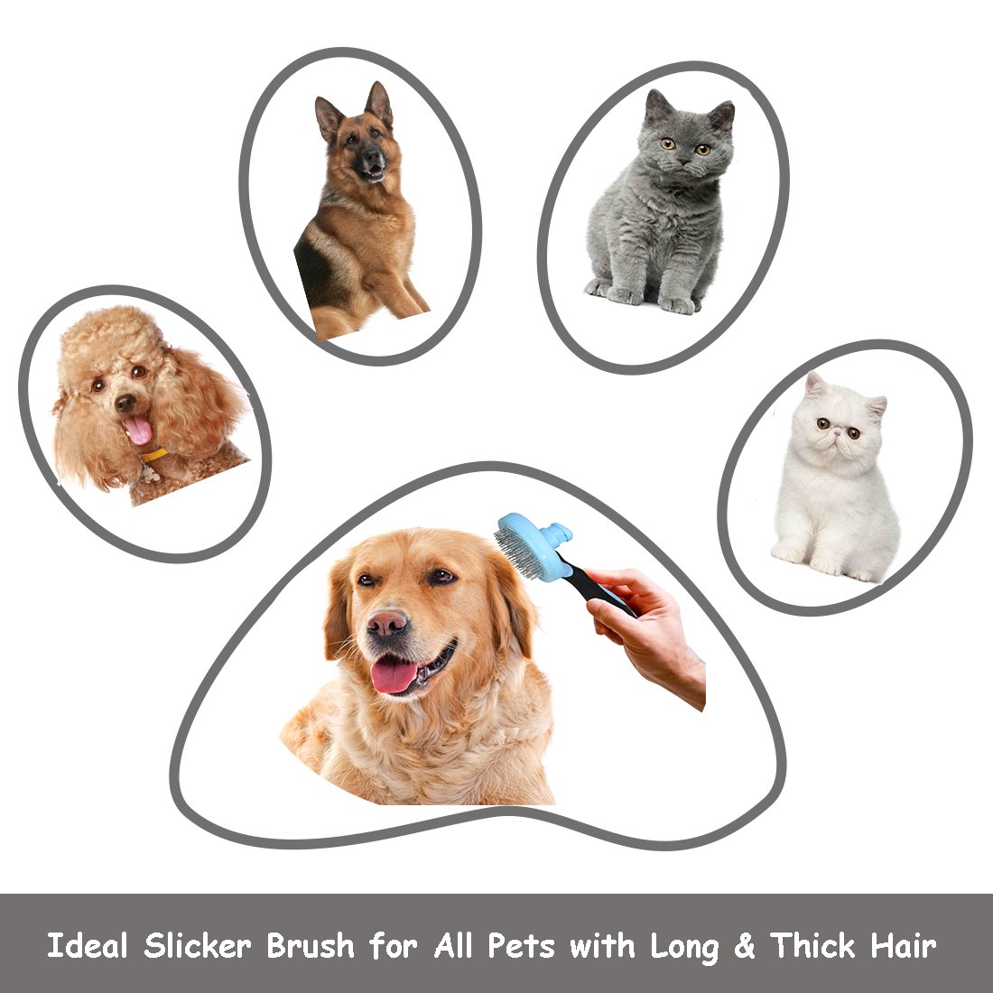 JAchoice Slicker Brush Self Cleaning Pet Grooming Comb Long Hair Pets Brush Ball Type Stainless Steel Comfortable & Safe Pet Hair Removal Brush for All Dogs Cats Rabbits with Long Thick Hair