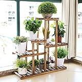 Bonsai plante Bonsai plante