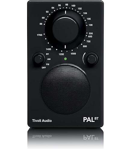 Amazon.com: Tivoli Audio CUBE Wireless Speaker (Black