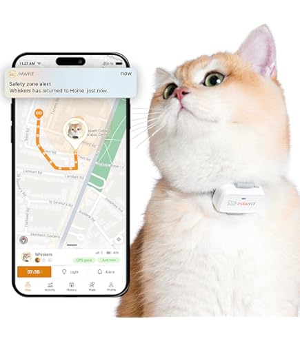 Amazon.com: Pawfit Lite for Cats 4g GPS Tracker | Ultra-Small