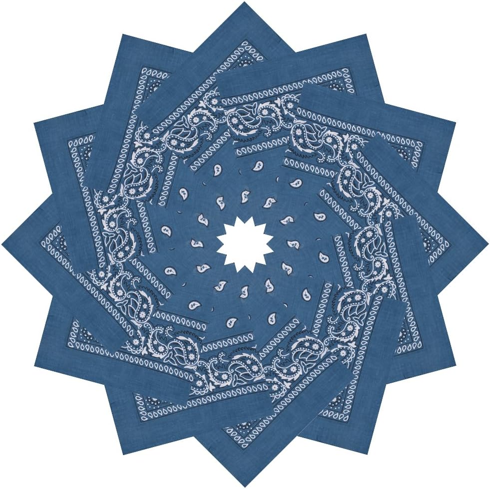 Alotpower Cotton Novelty Print Paisley Cowboy Bandanas Scarfs Unisex Headwraps