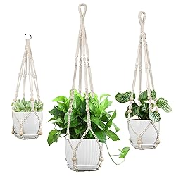 IDEEEPAN 3 Pack Macrame Plant Hanger