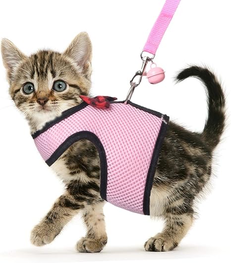 Harnais Pour Chat Avec Laisse Rose Reglable Pour Marcher Et Echapper En Maille Souple Reflechissant Amazon Ca Animalerie