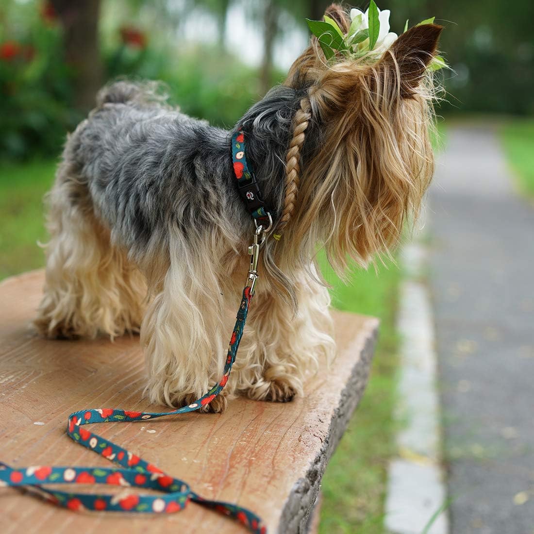 Amazon Azuza 犬 首輪 リード セット 犬 くびわ 小型犬 中型犬 おしゃれ フルーツ柄 可愛い Dリング付き 丈夫 調節可能 ペット用品 散歩 お出かけ用 トレーニングに最適 M 首周り 36 50cm りんご Azuza リード 通販 Amazon Azuza 犬 首輪 リード セット 犬 くびわ 小型犬 中型犬 おしゃれ フルーツ柄 可愛い Dリング付き 丈夫 調節可能 ペット用品 散歩 お出かけ用 トレーニングに最適 M 首周り 36 50cm りんご Azuza リード 通販