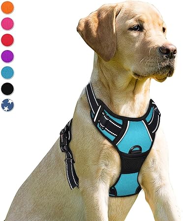 amazon prime dog harness