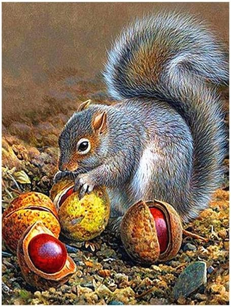 Amazon 5ddiyダイヤモンドペインティングツールキット かわいいリス栗動物ラウンドフルダイヤモンドクリスタルラインストーン刺繡クロスステッチアートワークリラックスと家の装飾40x50cm 置物 オブジェ オンライン通販