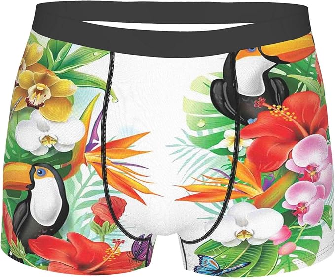 Men's Underwear,Native Australian Animals With Koala Reptiles And