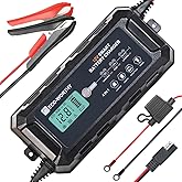ECO-WORTHY 10Amp 12V Automatic Smart Battery Charger and Maintainer with LCD Display for Lead Acid and Lithium (LiFePO4) Batt