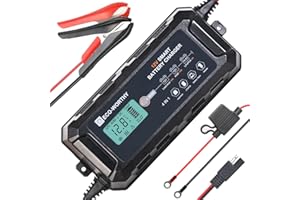 ECO-WORTHY 10Amp 12V Automatic Smart Battery Charger and Maintainer with LCD Display for Lead Acid and Lithium (LiFePO4) Batt