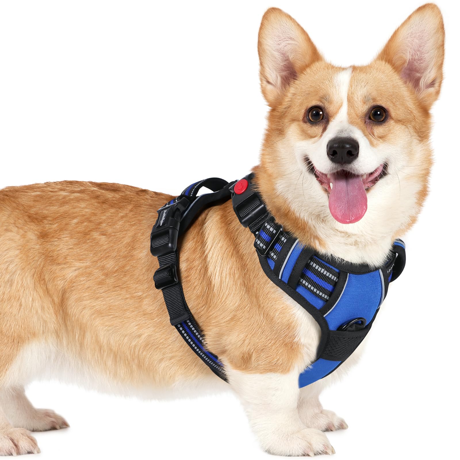 rabbitgoo Dog Harness Small Dog with Neck Release Buckle, Adjustable Soft Padded Puppy Pet Vest with Easy Control Handle, Reflective No Pull Dog Harness with Front Back Clips, Blue, S — image 1