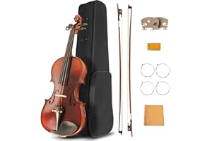 Ceciliec 4/4 Violin for Beginners, Acoustic Full Size Violin Fiddle Starter Kit for Student, Stringed Musical Instrument w/Case, 2 Violin Bows, 2 Bridges, Strings, Rosin, Cleaning Cloth