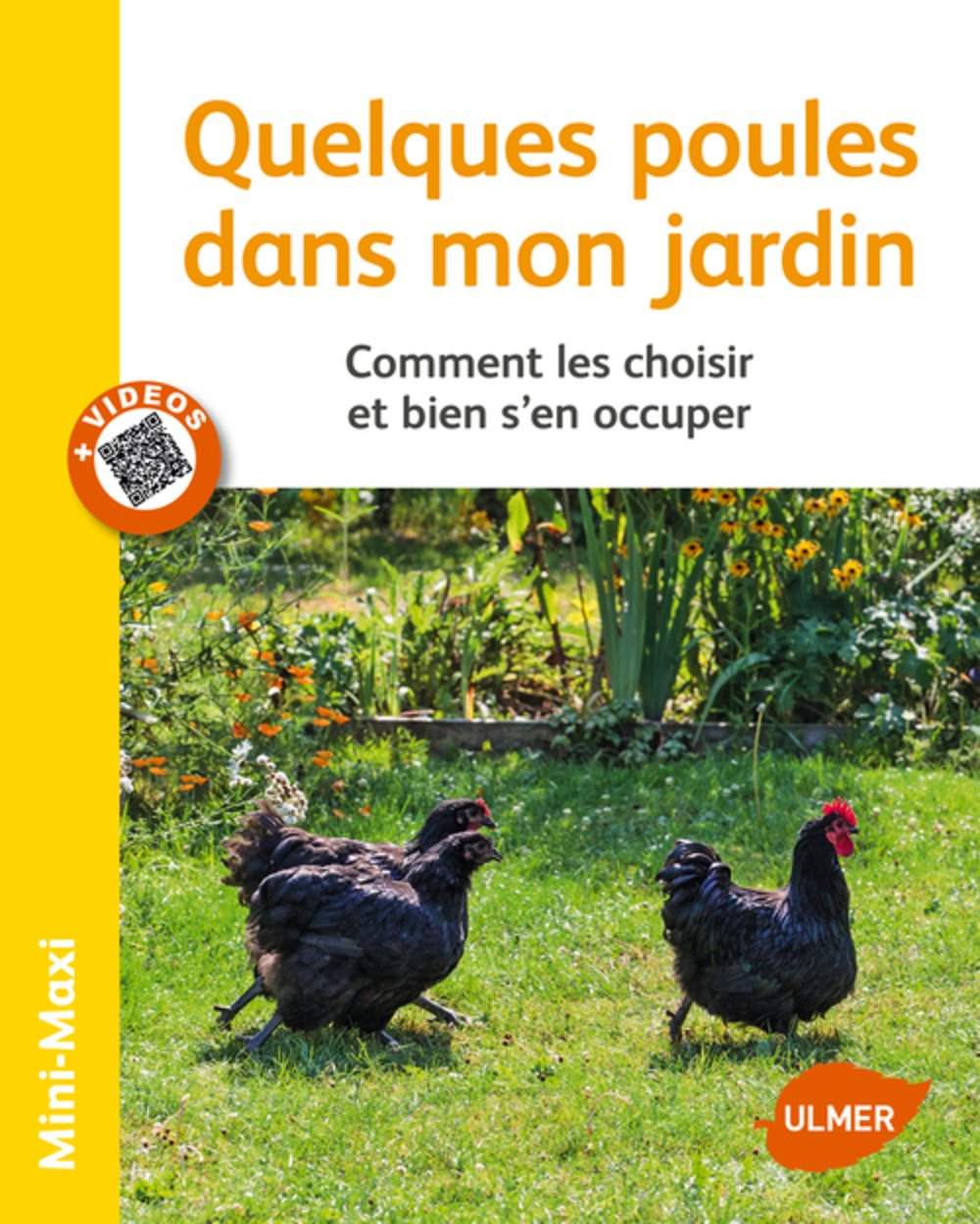 Quelques Poules Dans Mon Jardin Comment Les Choisir Et Bien Sen