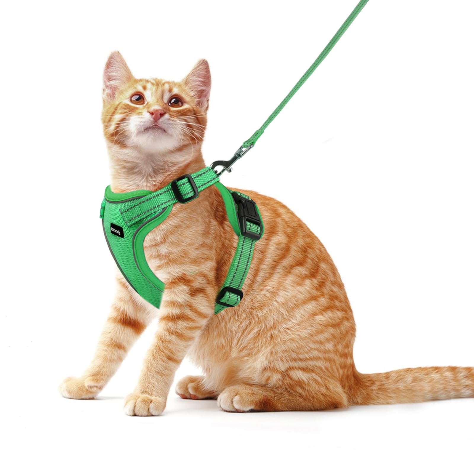 Photo 1 of Rttochfy Cat Harness and Leash Set, Adjustable and Reflective Cat Vest, Escape Proof Kitten Harness, Easy to Put on with 3 Buckles for Cats Walking and Traveling (Green, M)