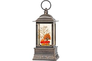 EYROSA Fall Snow Globe Decorations, Glitter Red Truck Lantern with 6H Timer, USB/Battery Powered Lighted Décor for Home, Tabletop, Gift Box