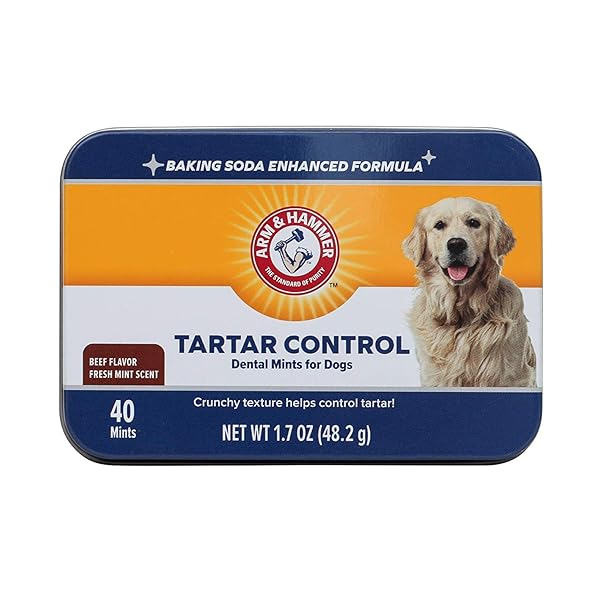 ARM & HAMMER FOR PETS TARTAR CONTROL DENTAL MINTS FOR DOGS | DOG DENTAL MINTS HELP REDUCE PLAQUE & TARTAR BUILDUP WITHOUT BRUSHING | BEEF FLAVOR, 40 COUNT