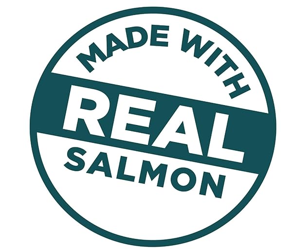 MEOW MIX IRRESISTIBLES SOFT CAT TREATS MADE WITH REAL SALMON, 3 OZ. POUCH