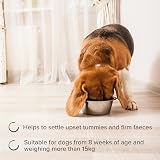 Beaphar IntestoPro Prebiotic Paste for Dogs >15kg 2 x 20ml view 3
