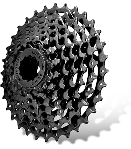 Amazon.com : Sunrace Cassette 8SP 11-34 SIL CSM55 [8AV] : Sports