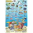 Turks & Caicos Coral Reef Creatures Guide Franko Maps Laminated Fish Card 4"x6"