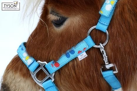 Halfter Blümi Minishetty Fohlen Falabella Mini Pony Shetty Minipony Hellblau Rosa Lila Gr. MMS MS S P
