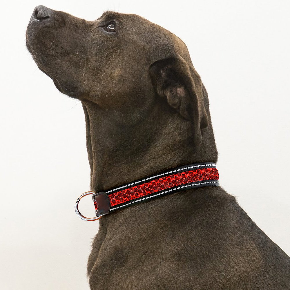 Reflective Dog Collar, Adjustable Waterproof Soft Mesh Fabric Pet Collars for Small, Medium, Large Dogs (M, RED)