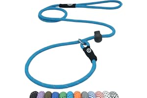 Hiado Slip Lead Dog Leash Reflective with Stopper Loop Rope Training No Pull for Medium Large Dogs 5ft SkyBlue