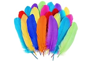 PINKFEATHER 300pcs Goose Feathers(4-7 inches10-17cm),Feathers for Crafting,DIY,Hats Clothing,Cosplay Wings and Wedding Home Party Decorations,Dream Catcher Supplies (Rainbow)