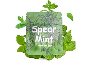 LAMKHOO Plant-Based Spearmint Flavor Cores for Breathing Necklace to Quit Smoking and Vaping, Refillable Mint Pods for Stop Smoking Aids Fidget Necklace for Anxiety Relief Smokeless Inhaler for Adults