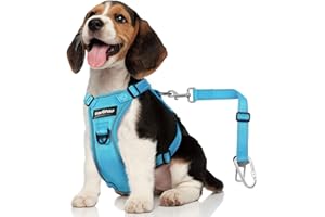 VavoPaw Dog Seat Belt Harness for Car, Dog Car Harness Adjustable Mesh Breathable & Dogs Seatbelt Safety Tether with Elastic Bungee for Small Medium Large Pets(Blue, S)