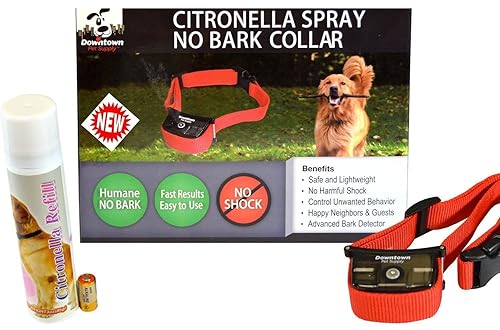 citronella collars for small dogs