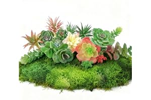 OrgMemory Artificial Succulent Plants, Small Plastic Succulents, Faux Succulents, Suculentas for DIY Garden Decor Succulent Dollhouse Craft Model Miniature Dioramas Miniature Garden Buildings