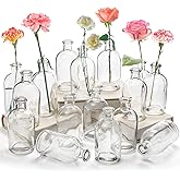 YOUEON 16 Pack Living Bud Vases, Clear Glass Flower Vase, 8 Oz Decorative Glass Bottles, Glass Vase, Centerpiece for Home Dec