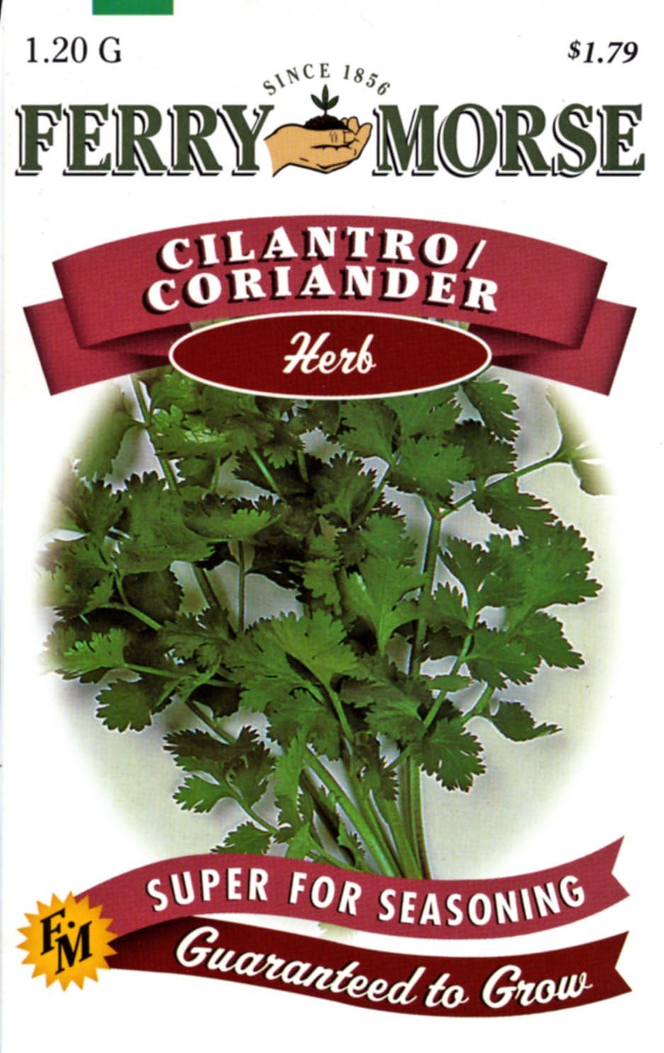 Ferry-Morse 1270 Cilantro Herb Seeds (1.2 Gram Packet)